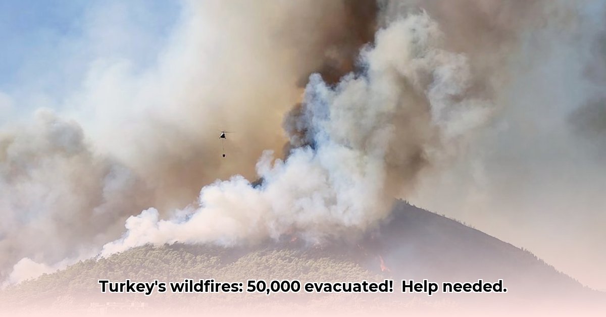 bosbranden-turkije-vandaag